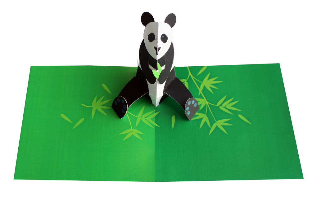 Panda_Animal Gallery_Open